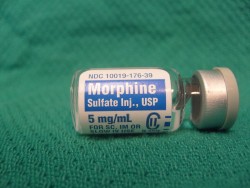 morphine opiates